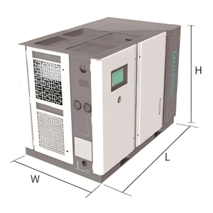 Micro Oil Screw Vacuum Pump