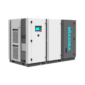 Two Stage Variable Frequency Stationary Screw Air Compressor -ZGM-II