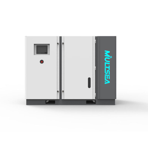 Single Stage Variable Frequency Stationary Screw Air Compressor -ZGM